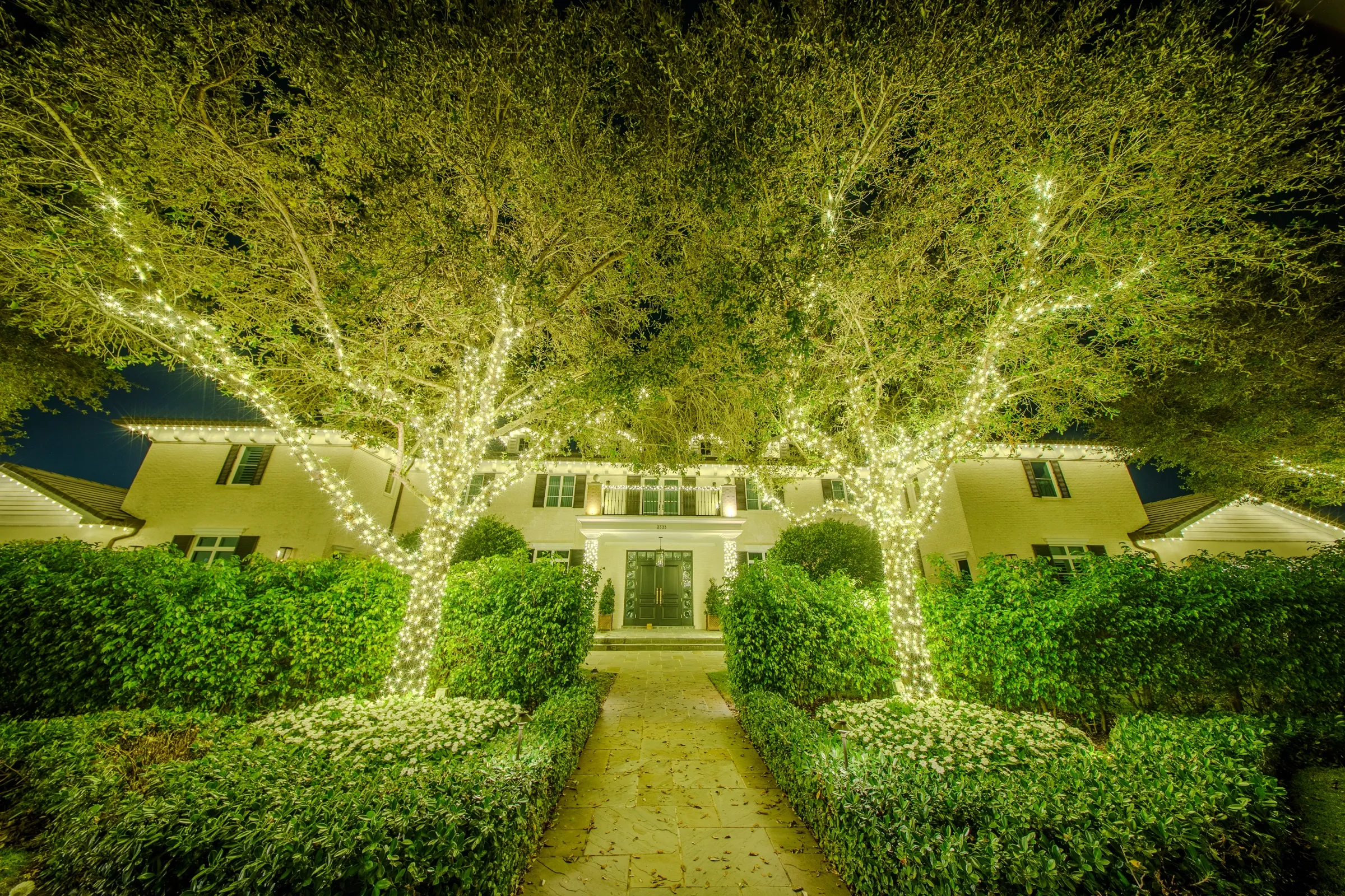 Colonial home at night flanked by two large oak trees fully wrapped in warm white lighting