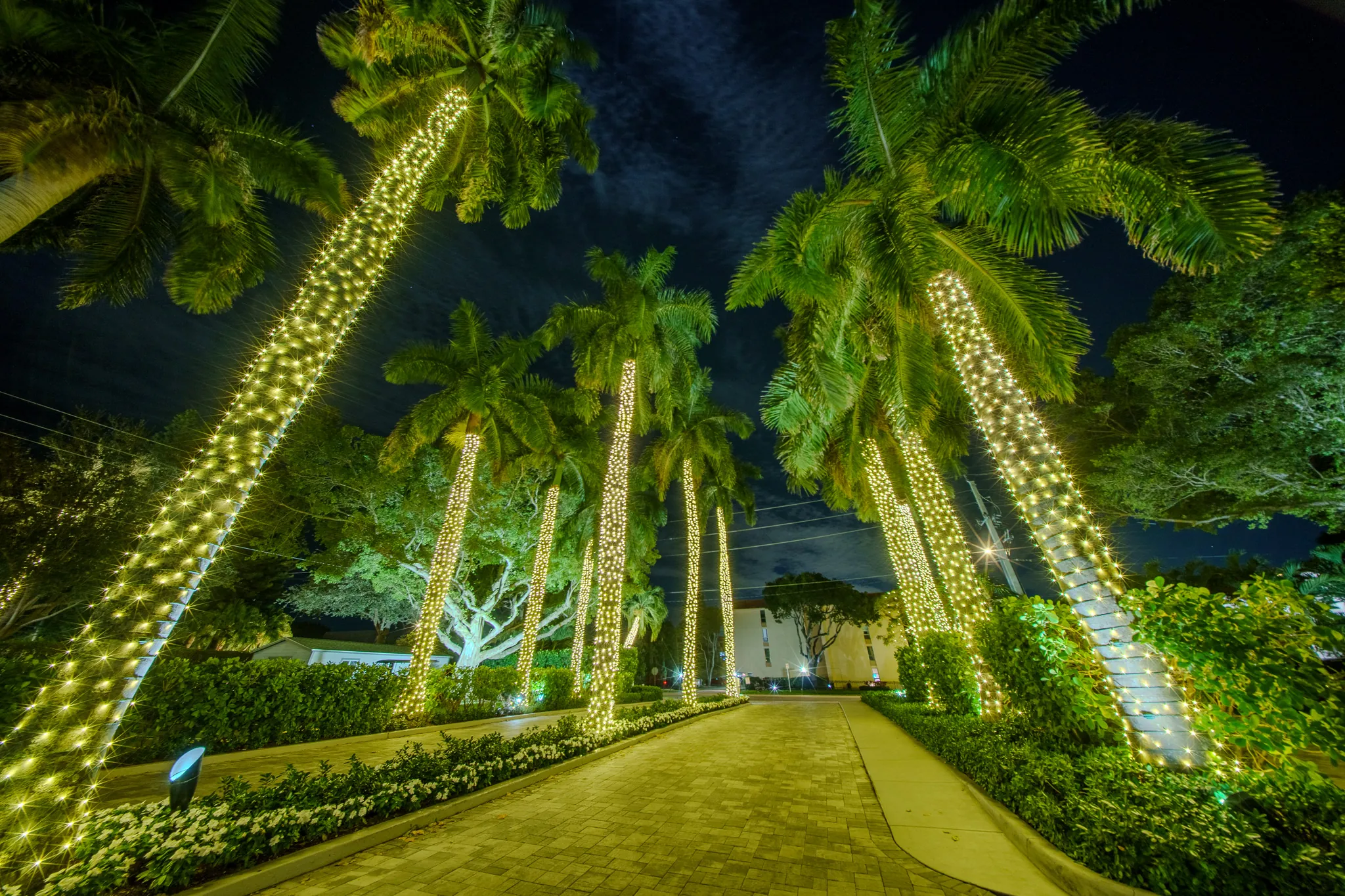 Estate driveway lined with warm-white holiday lights at dusk — a Kingsley Lights installation